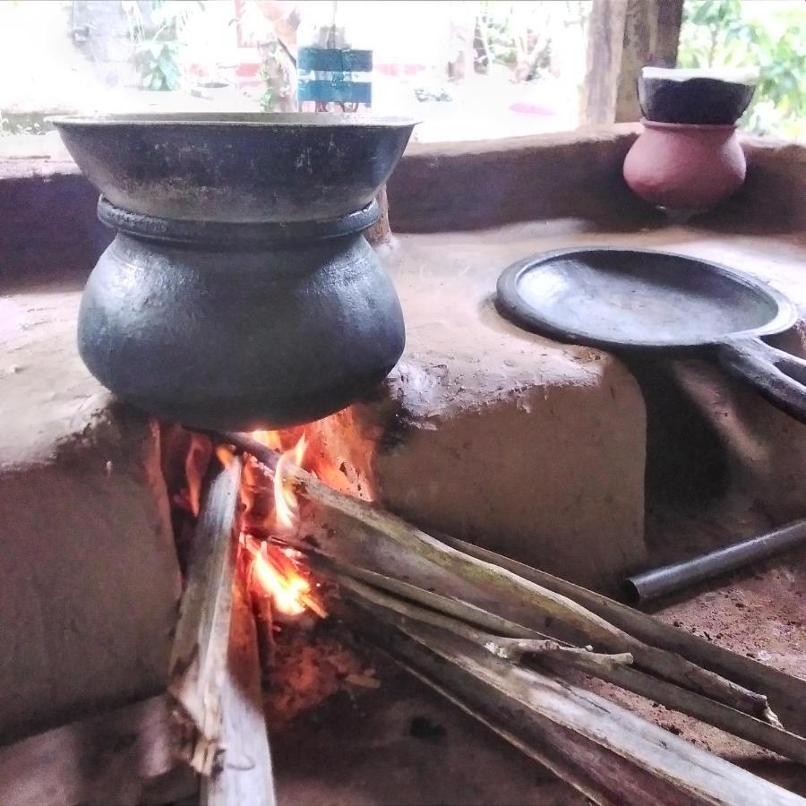 Yaluwa Tourist Rest & Cooking Class アヌラーダプラ エクステリア 写真