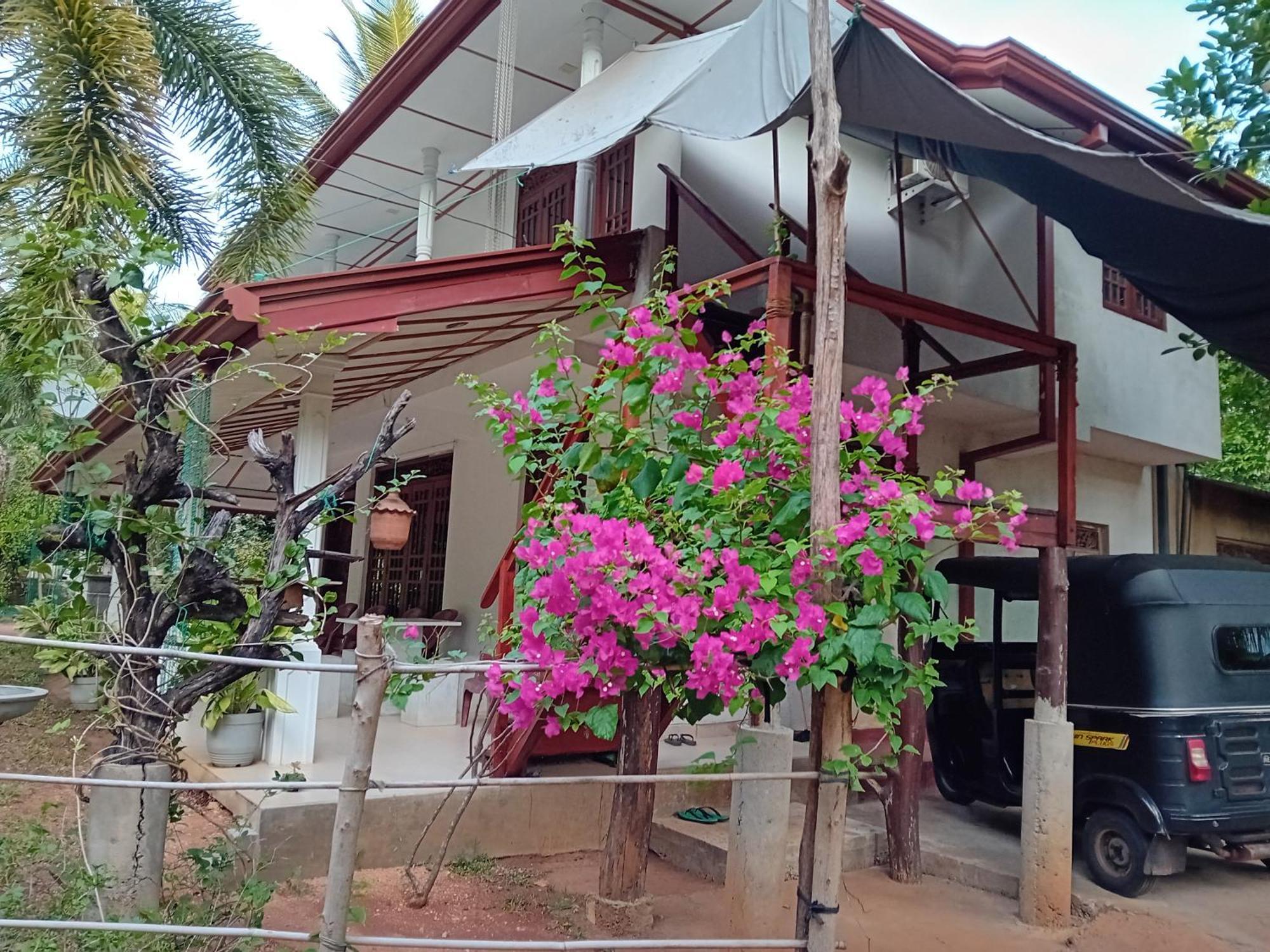 Yaluwa Tourist Rest & Cooking Class アヌラーダプラ エクステリア 写真