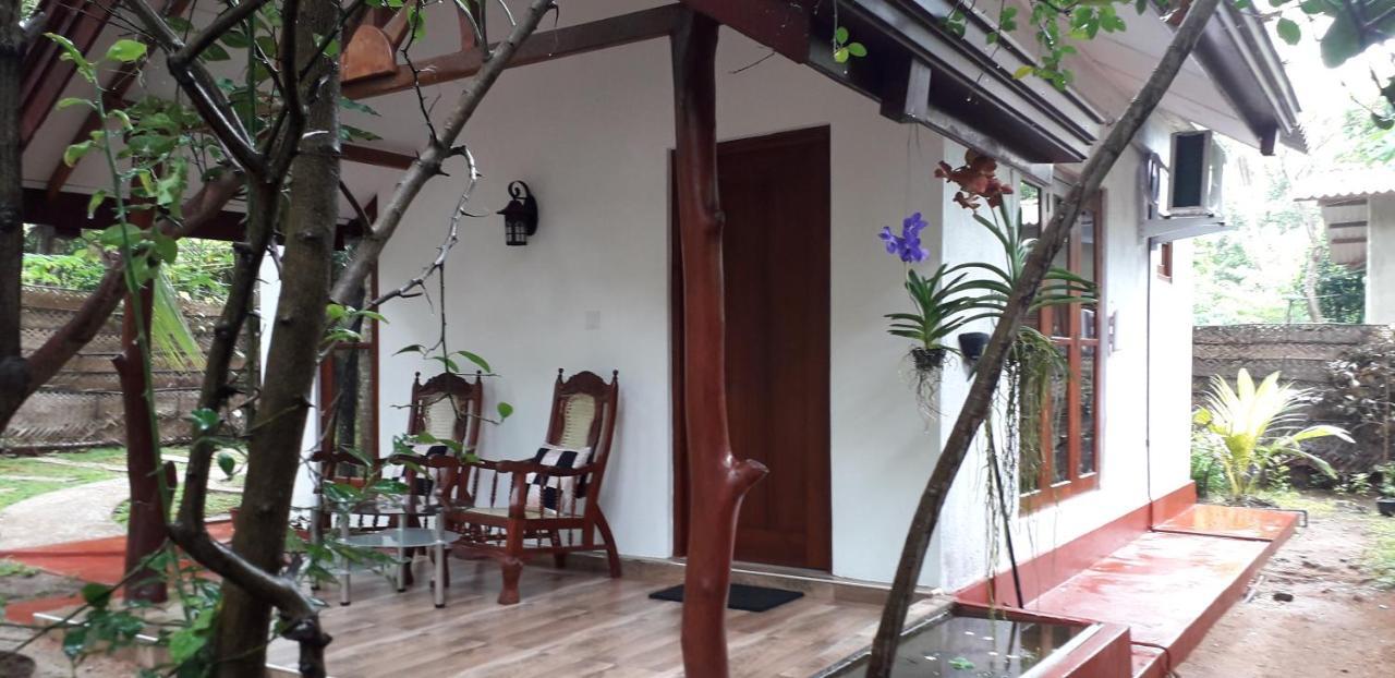 Yaluwa Tourist Rest & Cooking Class アヌラーダプラ エクステリア 写真